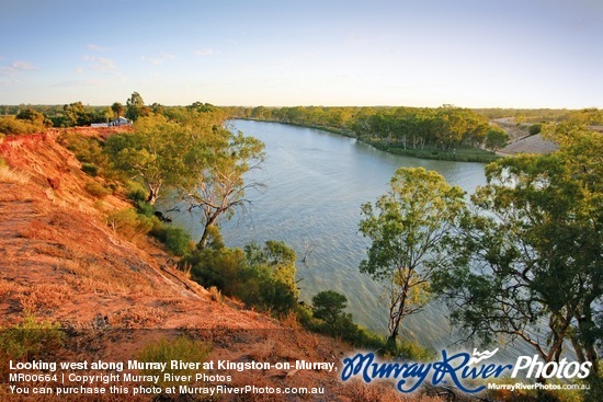 Looking west along Murray River at Kingston-on-Murray, South Australia