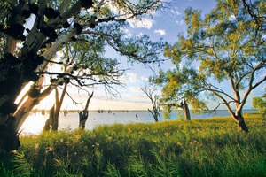 Wachtels Lagoon, Kingston-on-Murray, South Australia