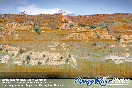 Cliffs near Morgan, South Australia