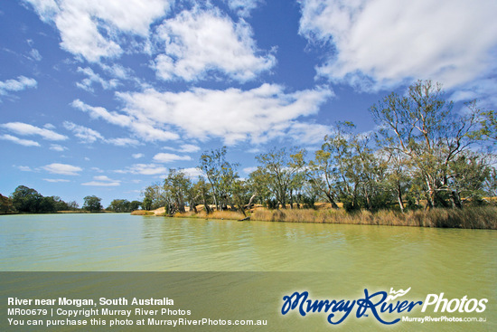 River near Morgan, South Australia