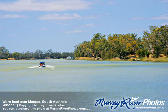Wake boat near Morgan, South Australia
