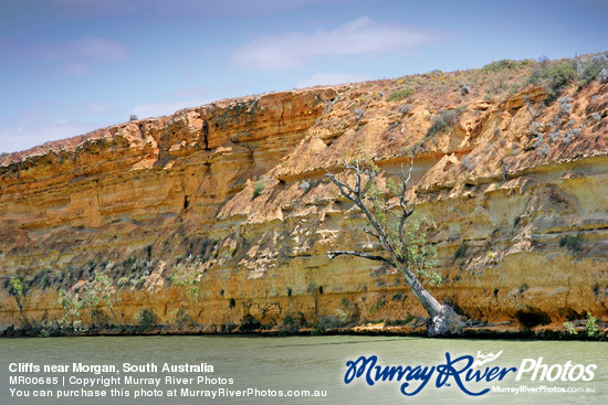 Cliffs near Morgan, South Australia