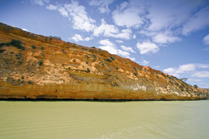 Cliffs near Morgan, South Australia