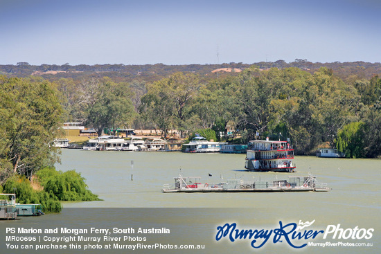 PS Marion and Morgan Ferry, South Australia