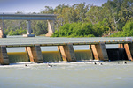 Lock 1 wier and Blanchetown Bridge