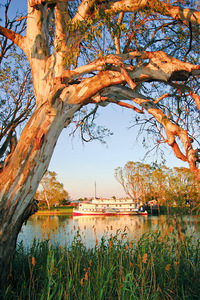 PS Coonwarra at Wentworth, New South Wales