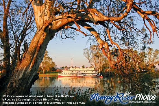 PS Coonwarra at Wentworth, New South Wales