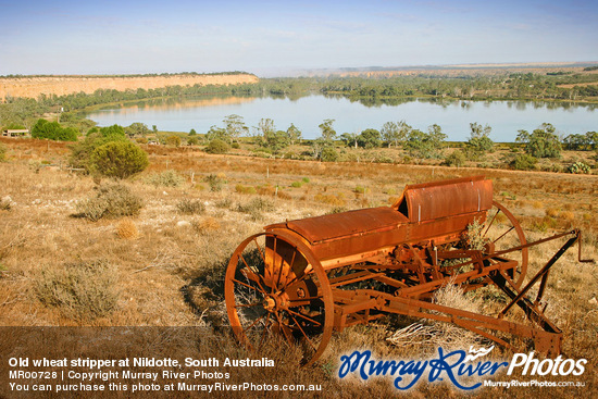 Old wheat stripper at Nildotte, South Australia