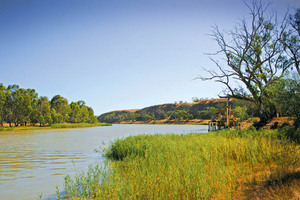 Akuna-Amphibious Paddle steamer at\nOverland Corner, South Australia