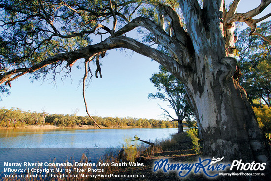 Murray River at Coomealla, Dareton, New South Wales