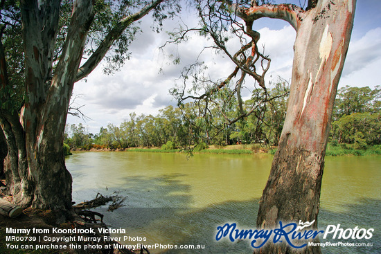 Murray from Koondrook, Victoria