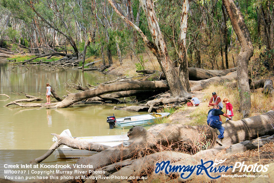 Creek inlet at Koondrook, Victoria