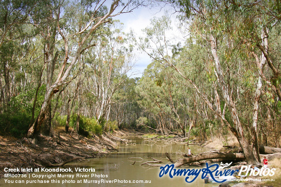 Creek inlet at Koondrook, Victoria