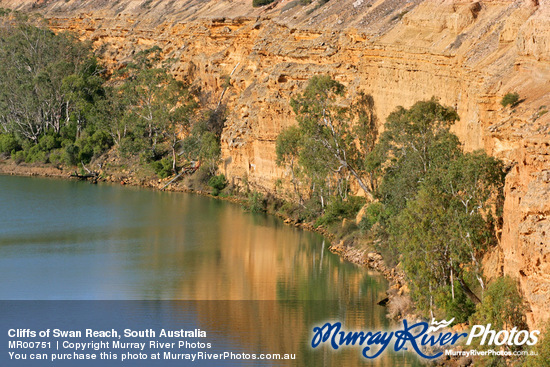 Cliffs of Swan Reach, South Australia