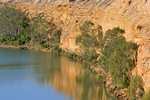 Cliffs of Swan Reach, South Australia