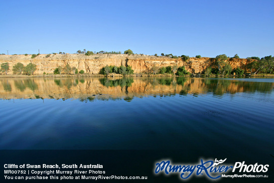 Cliffs of Swan Reach, South Australia