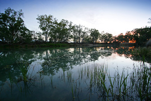 Sunrise at Murray River National Park near Berri, South Australia