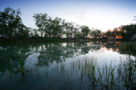 Sunrise at Murray River National Park near Berri, South Australia