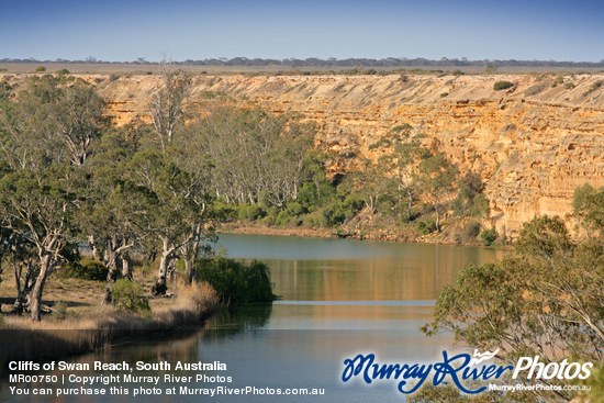 Cliffs of Swan Reach, South Australia