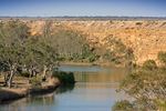 Cliffs of Swan Reach, South Australia