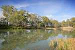 Murray River National Park near Berri, South Australia