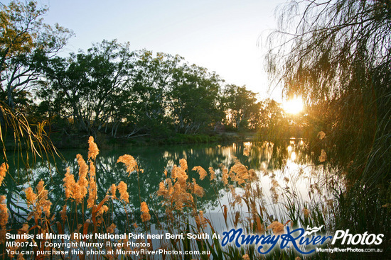 Sunrise at Murray River National Park near Berri, South Australia