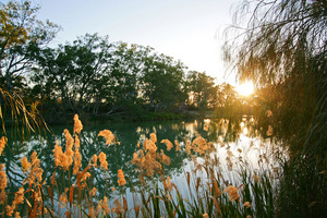 Sunrise at Murray River National Park near Berri, South Australia