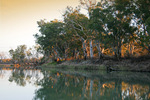 Murray River National Park near Berri, South Australia