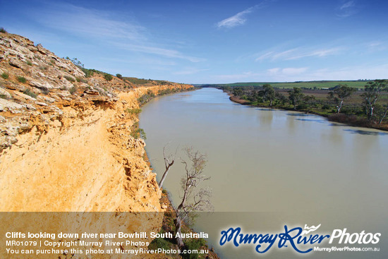 Cliffs looking down river near Bowhill, South Australia