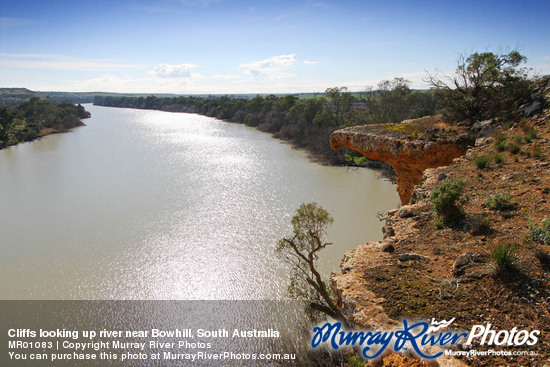 Cliffs looking up river near Bowhill, South Australia