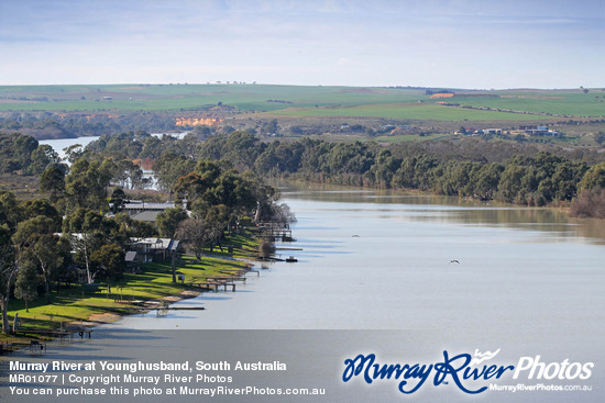 Murray River at Younghusband, South Australia