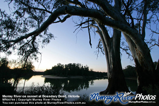 Murray River on sunset at Boundary Bend, Victoria