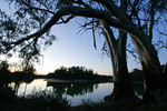 Murray River on sunset at Boundary Bend, Victoria