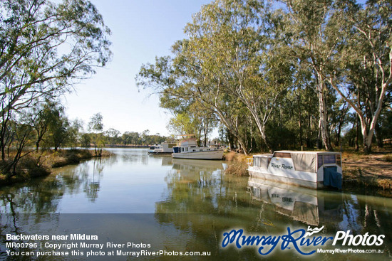 Backwaters near Mildura