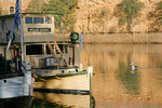 William Randell paddle boat at Swan Reach