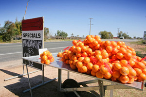 Fruit stall near Merbein