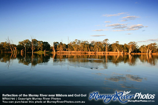 Reflection of the Murray River near Mildura and Gol Gol