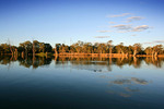 Reflection of the Murray River near Mildura and Gol Gol