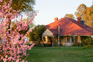 House and Blossoms in Mulwala