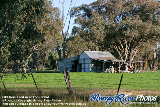 Old farm shed near Tocumwal