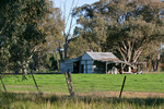 Old farm shed near Tocumwal