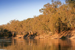 Murray River near Tooleybuc/Pingal