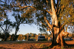 Sunset near Mildura