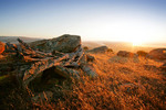 Sunrise at Palmer, South Australia