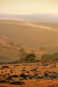 Sunrise at Palmer, South Australia