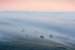 Sunrise at Palmer, South Australia