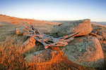 Sunrise at Palmer, South Australia