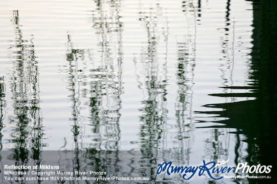 Reflection at Mildura