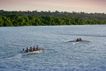 Rowers on the Murray River near Murray Bridge