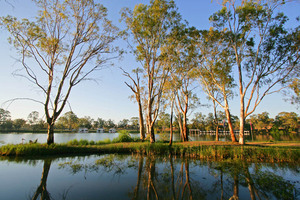 Murray River at Buronga